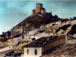 Mula Antigua serie-2